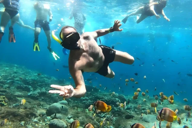 Amazing Komodo Day Trip Fastboat
