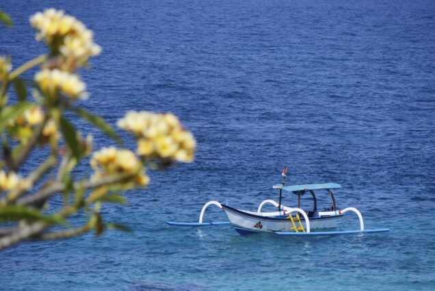 Northern Bali (Lovina Sunrise Dolphin & Hidden Waterfalls Day Trip)